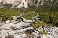 wbgarden alps 39d